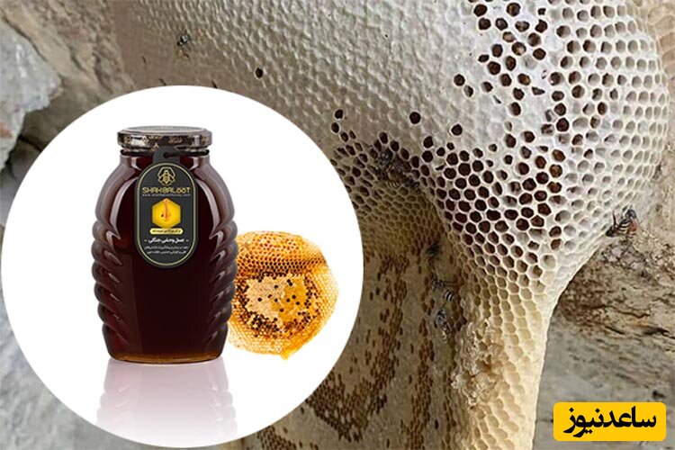 خرید عسل و ژل رویال از زنبوردار نمونه کشور