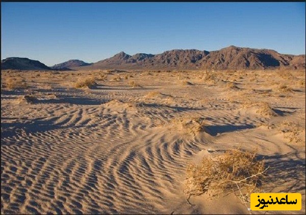 منابع دروس آزمون رشته مدیریت و کنترل بیابان و ضرایب آن در مقطع دکتری