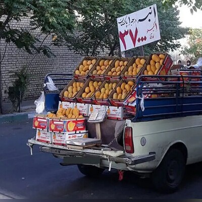 لب مرز پاکستان خبری است؟ / پشت پرده فراوانی انبه در وانت‌های میوه فروشان خیابانی
