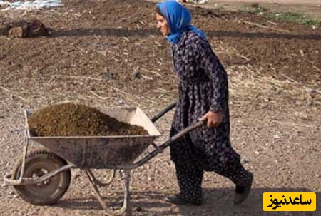 خلاقیت تحسین‌برانگیز و خنده‌دار "کشاورز ایرانی" در تبدیل وان حمام به باغی از بهشت حماسه‌ای آفرید / اُسکار حق توست، سهم توست😂