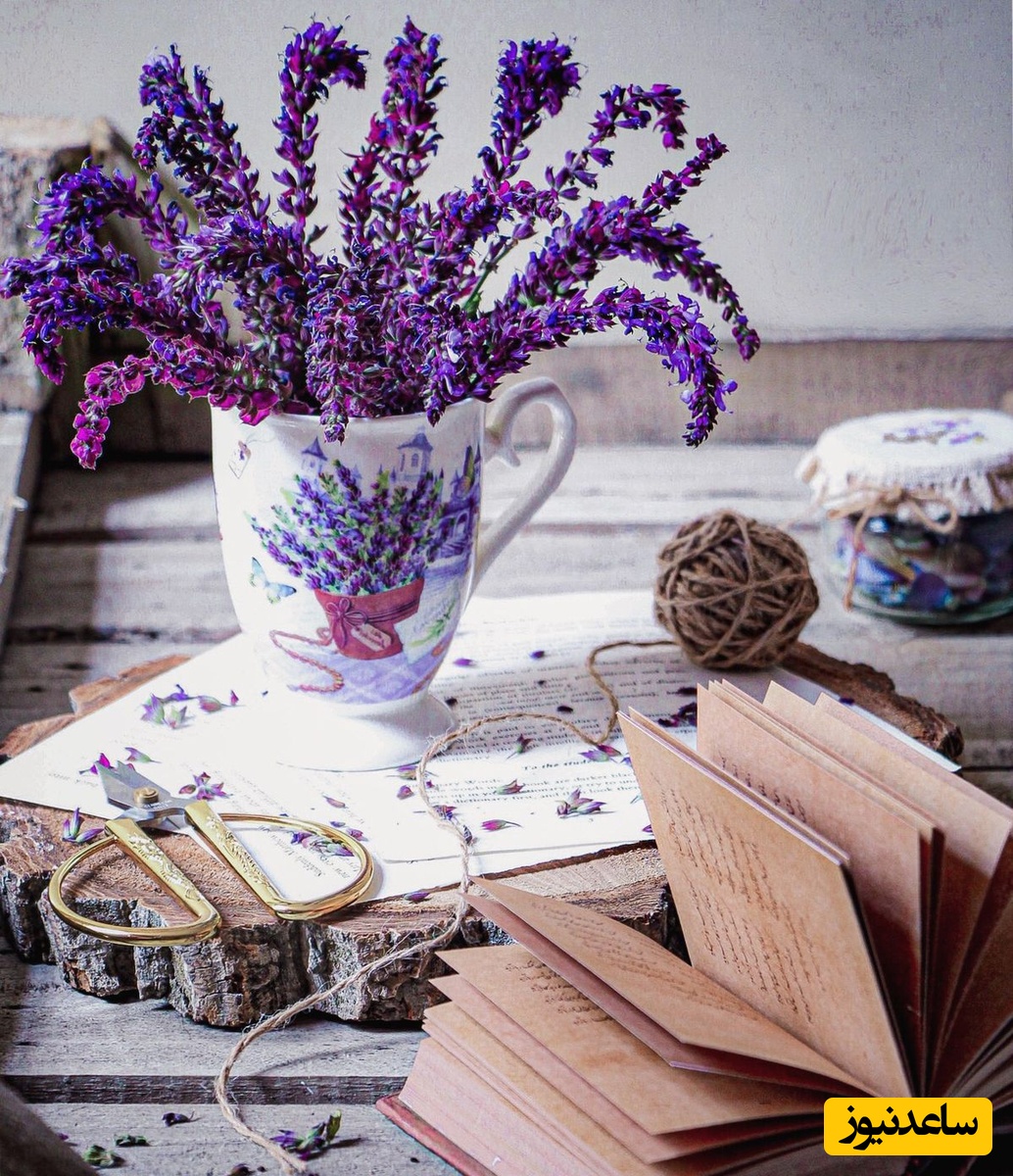  اسطوخودوس (Lavender)