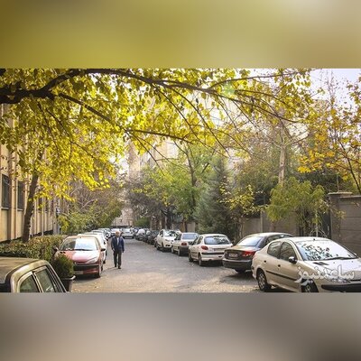 جنجال جدید در خیابانِ مخصوص ثروتمندان در تهران+عکس