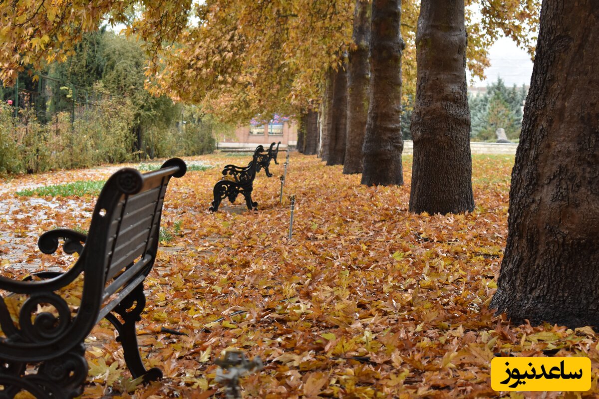 باغ گیاه شناسی