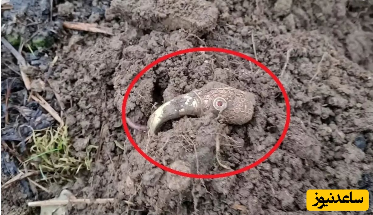 «کلاغ طلایی» بعد از 1400 سال از زیر خاک بیرون آمد