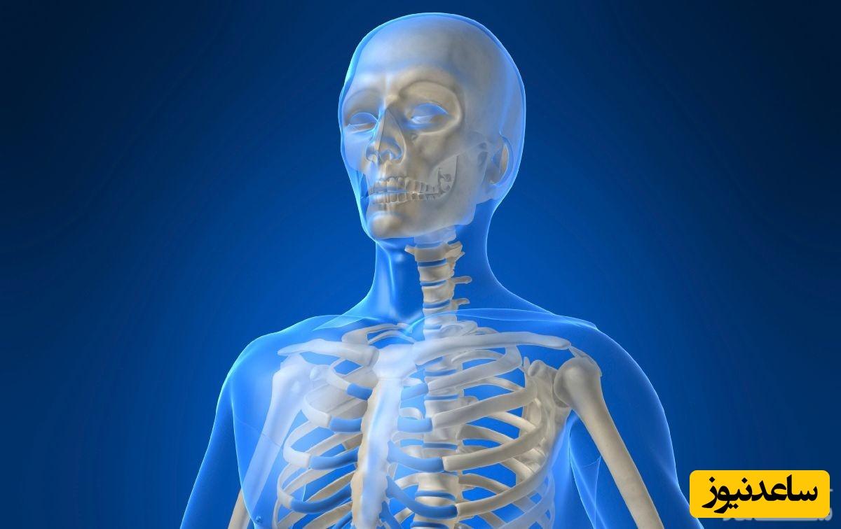 کشف حیرت انگیز یک بخش جدید در بدن انسان