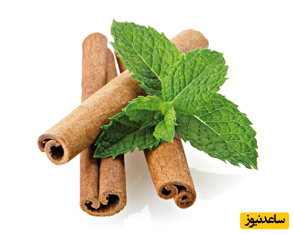 دارچین
