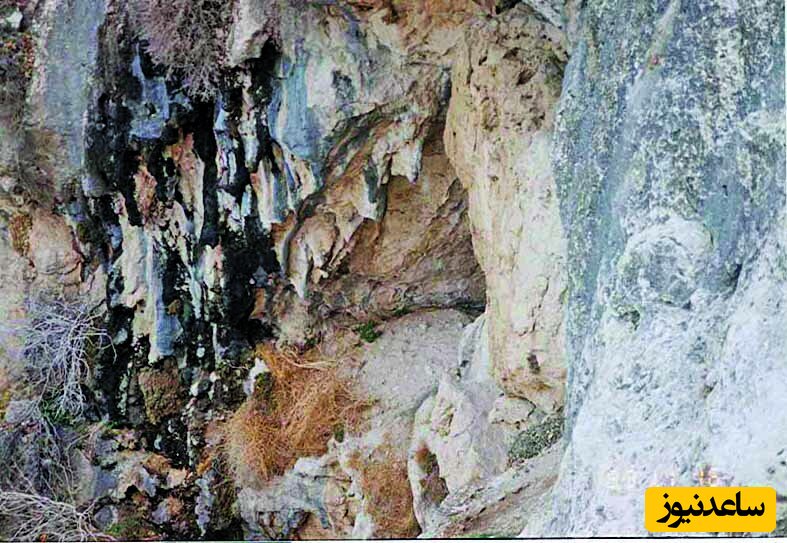    مساحت کلی فضاهای شناخته شده در غار حدود 4300 متر و طول فضاهای متصل به هم و شناخته شده مسیر فعلی آن حدود 670 متر است. دهانه غار در تصویر مشخص شده است