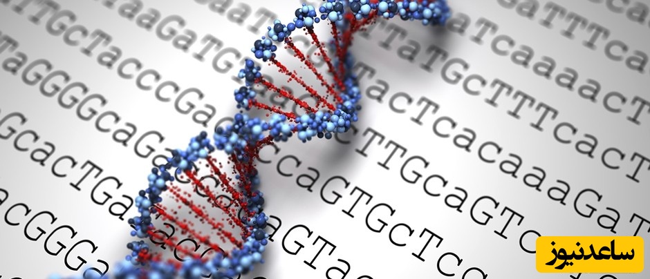  اولین ژنوم مرجع ایرانیان رونمایی شد