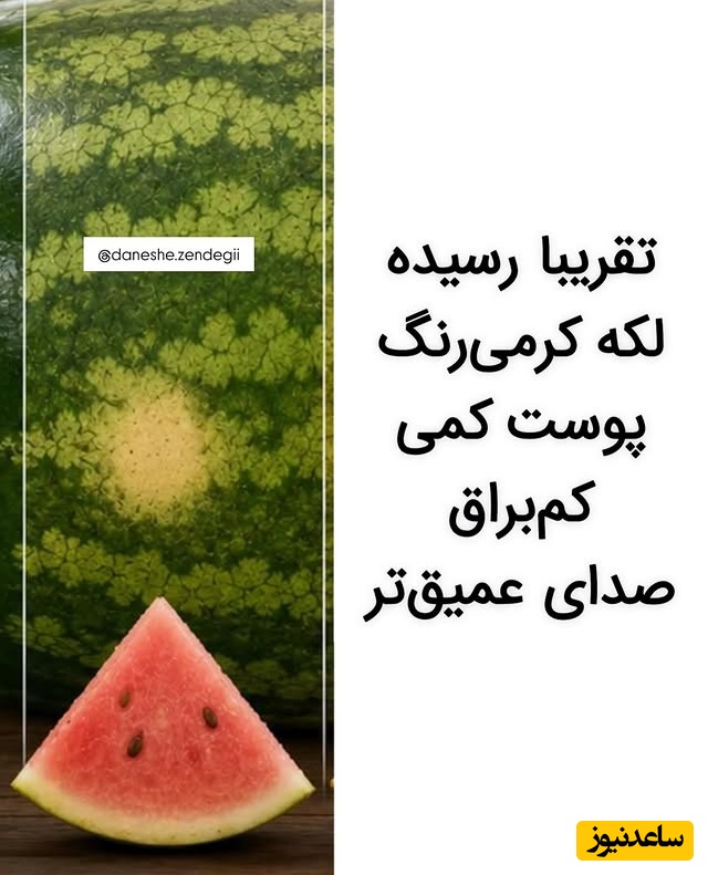 شناسایی هندوانه با رنگ