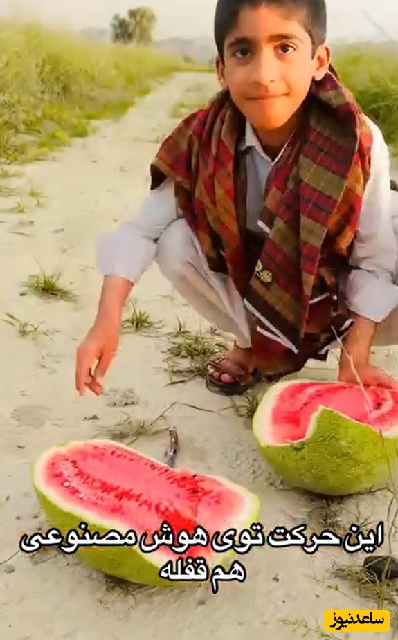 خلاقیت خنده‌دار پسر زاهدانی در برش هندوانه تاریخ ساز شد/بفرما تکنولوژی وطنی😂