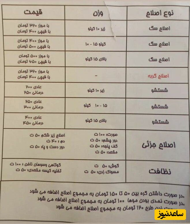 قیمت اصلاح موی سگ