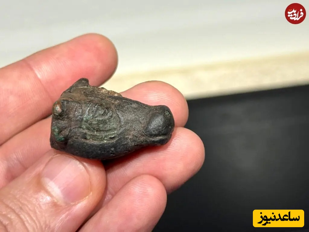 کشف سر گاو برنزی