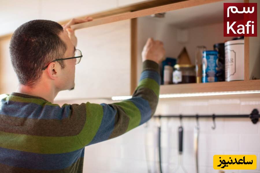 سوسک کابینت از کجا میاد