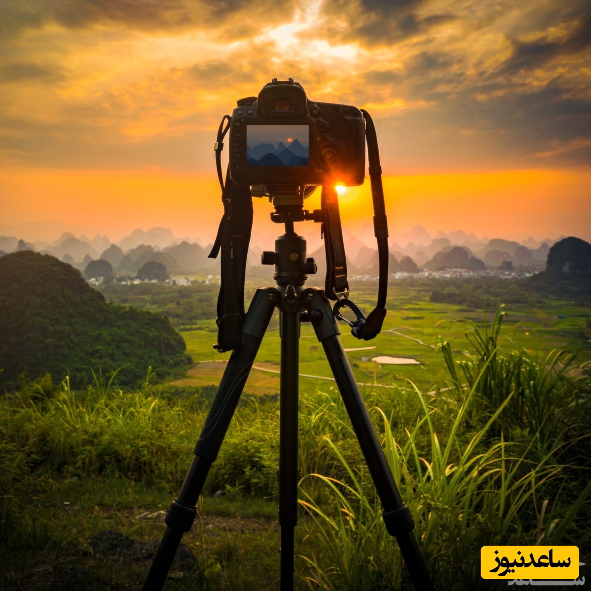 دانلود رایگان نمونه یک رزومه موفق عکاس