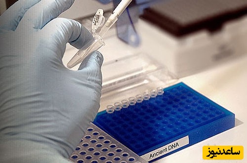 خالص‌سازی DNA برای تشخیص بیماری‌ها در کشور امکان پذیر شد.