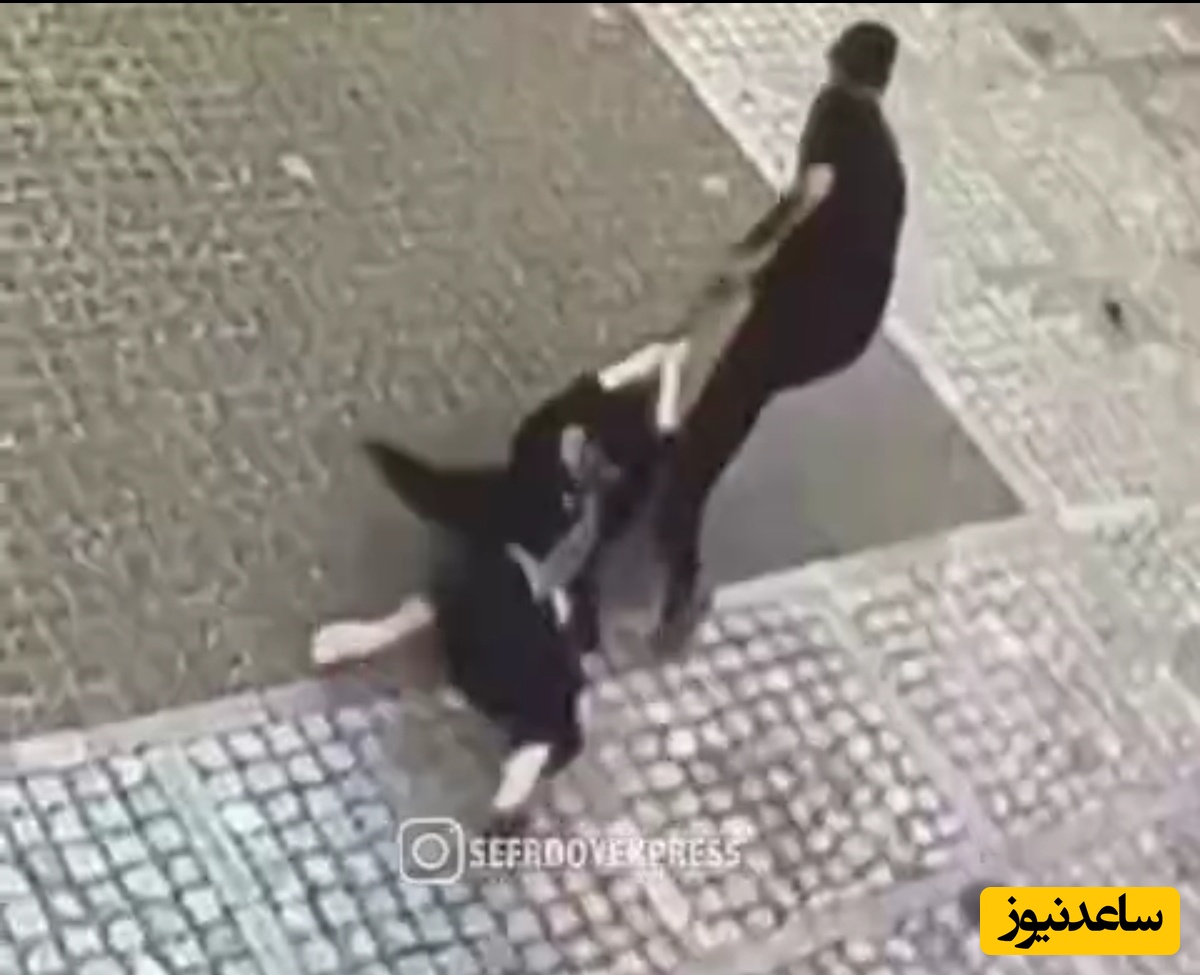 (فیلم) سرقت وحشیانه موبایل در سعادت آباد تهران / بیچاره دختره رو روی زمین کشون کشون برد!