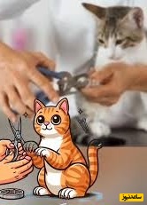 واکنش‌های سمی گربه‌ها موقع ناخن گرفتن 😂(فقط آخریش!)