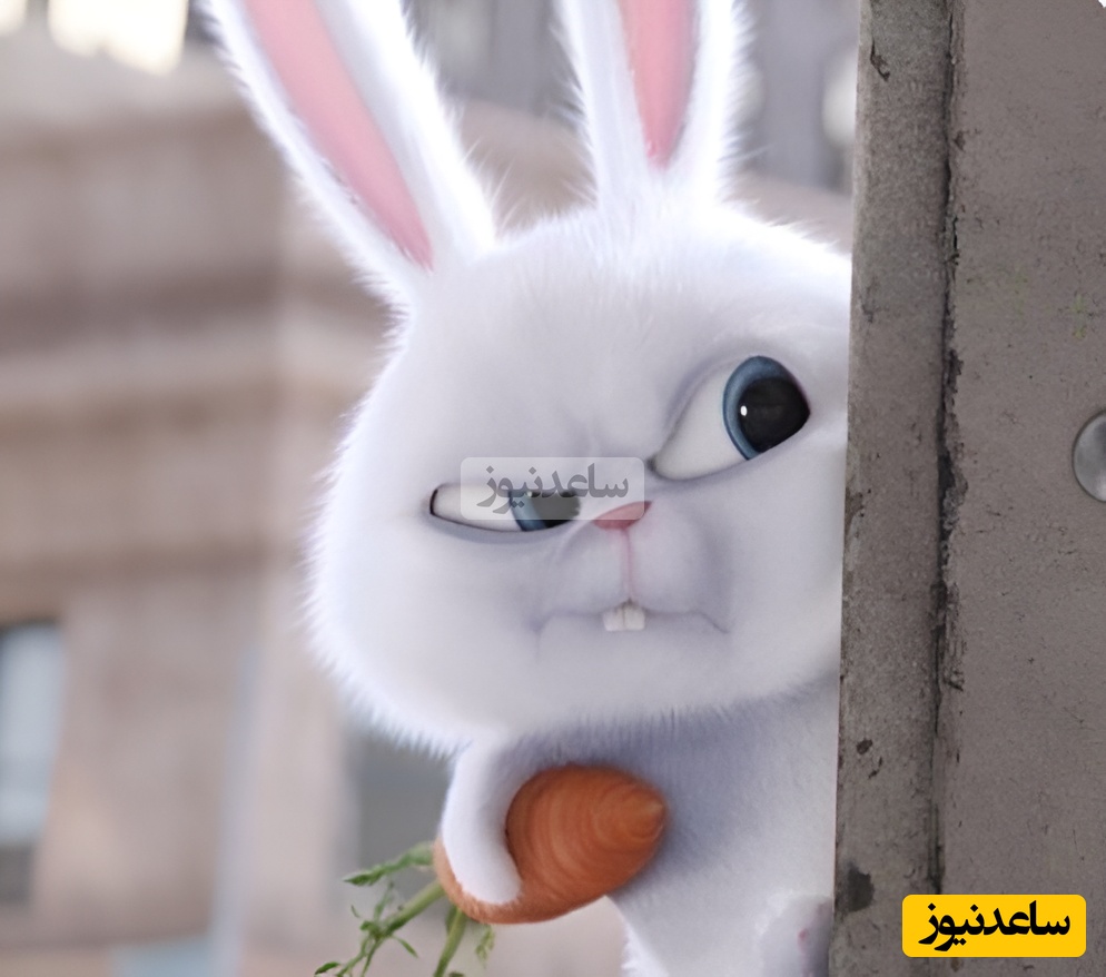 معما تصویری | فقط ذهن‌های خلاق می‌تونن 10 تفاوت بین دو تصویر رو در 25 ثانیه پیدا کنن!