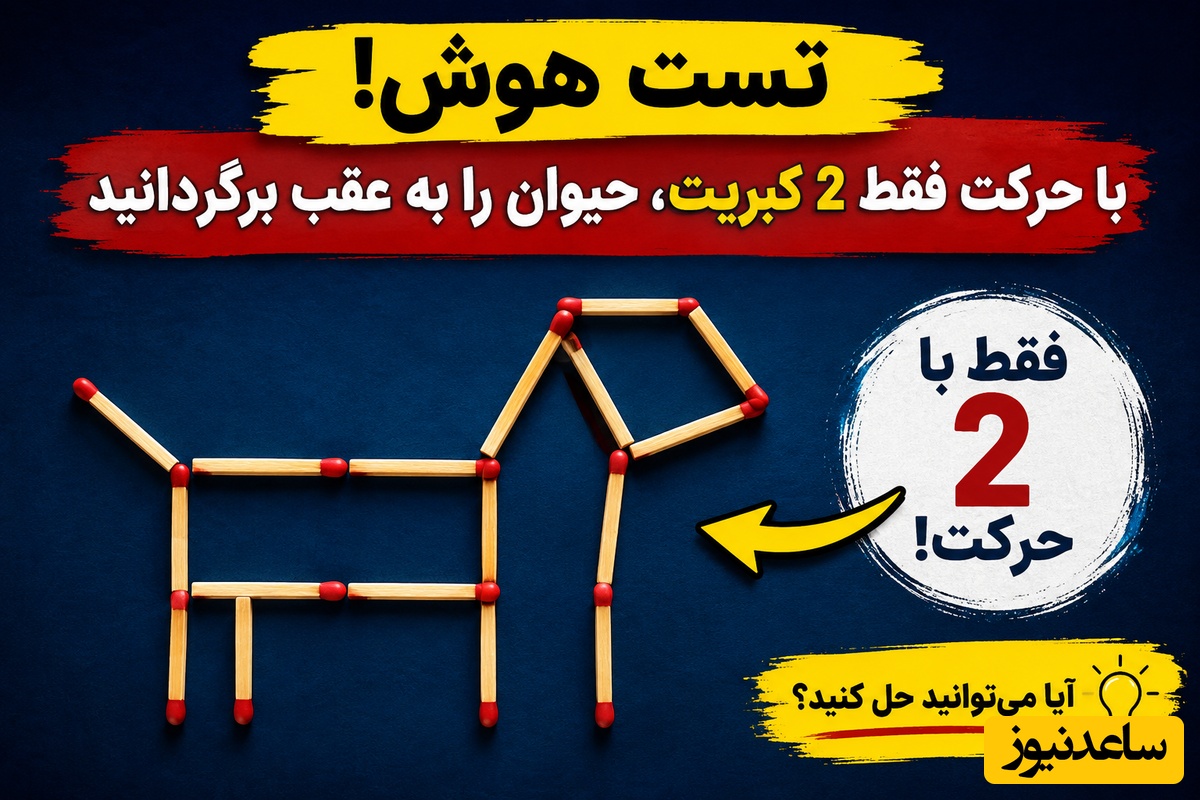 تست هوش تصویری؛ فقط نابغه‌ها می‌توانند با جابه‌جایی 2 کبریت، حیوان را رو به عقب برگردانند!