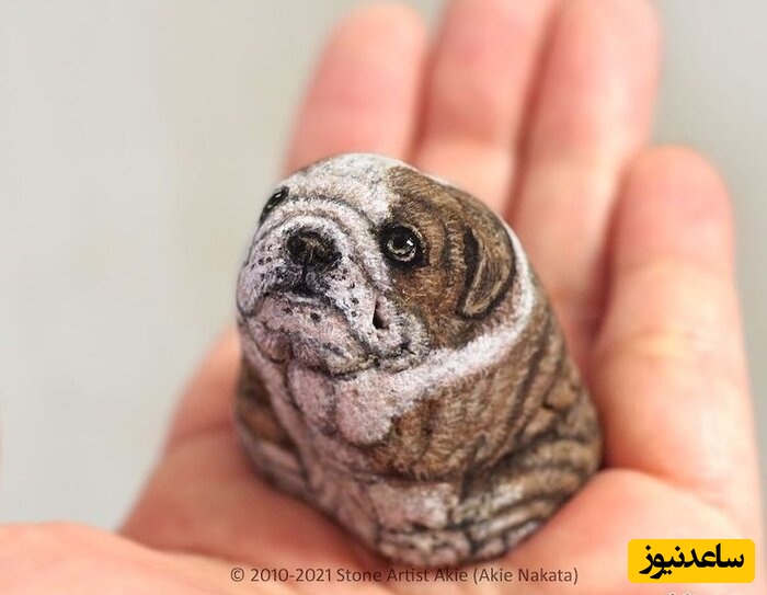 (تصاویر) جانوران زیبایی که از دل سنگ متولد شدند