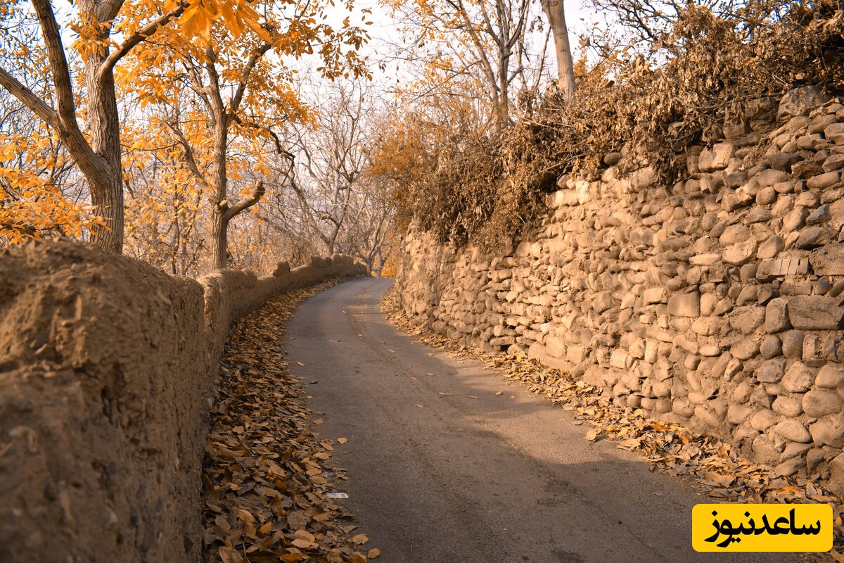 کوچه باغ کن