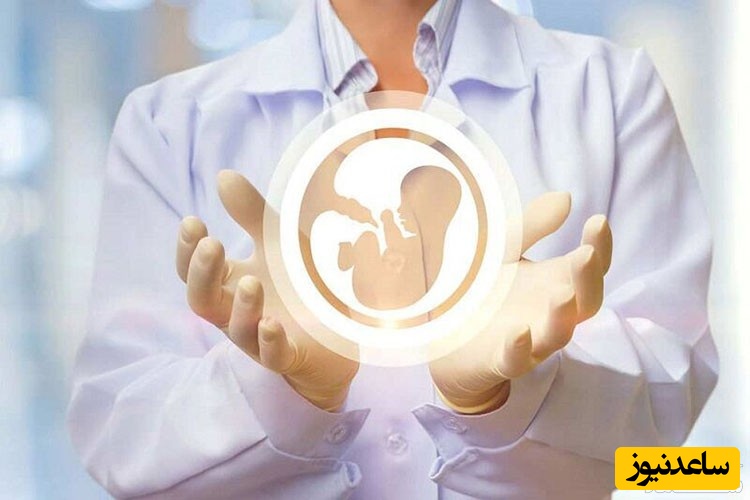 کدام غذاها باعث نازایی و ناباروری می شوند؟