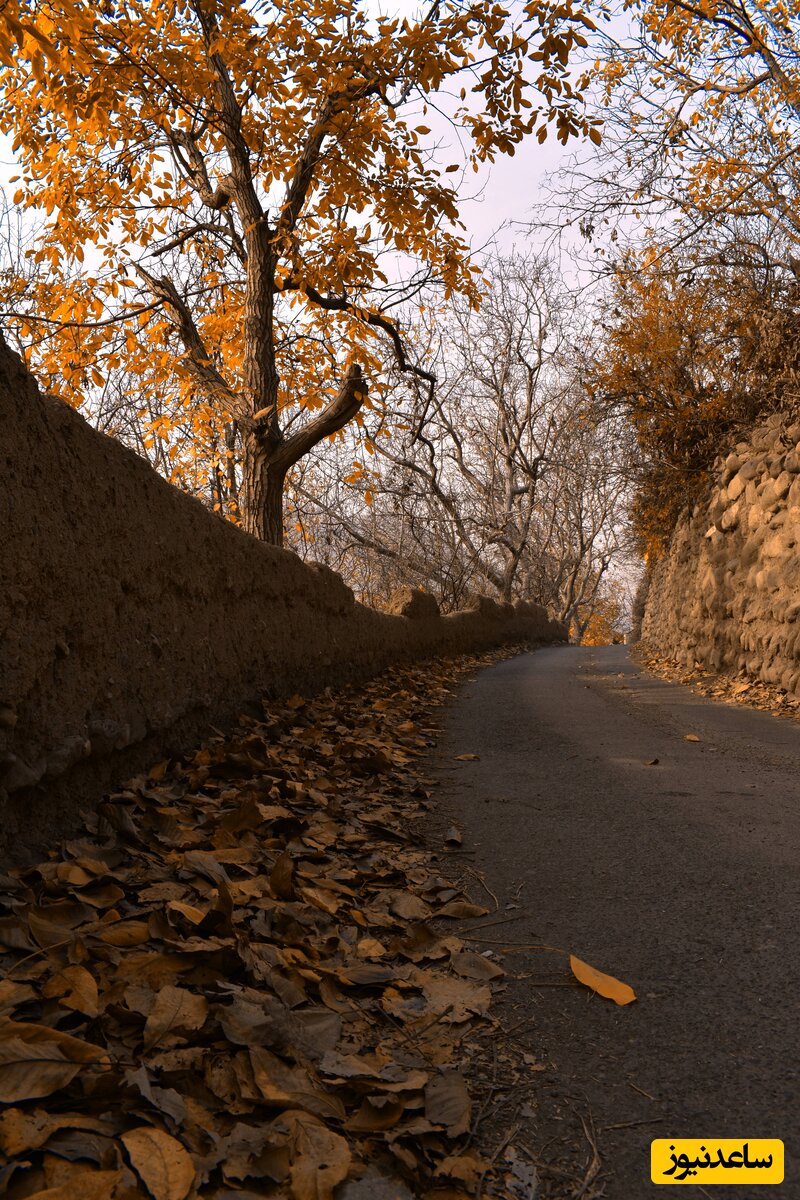 کوچه باغ کن