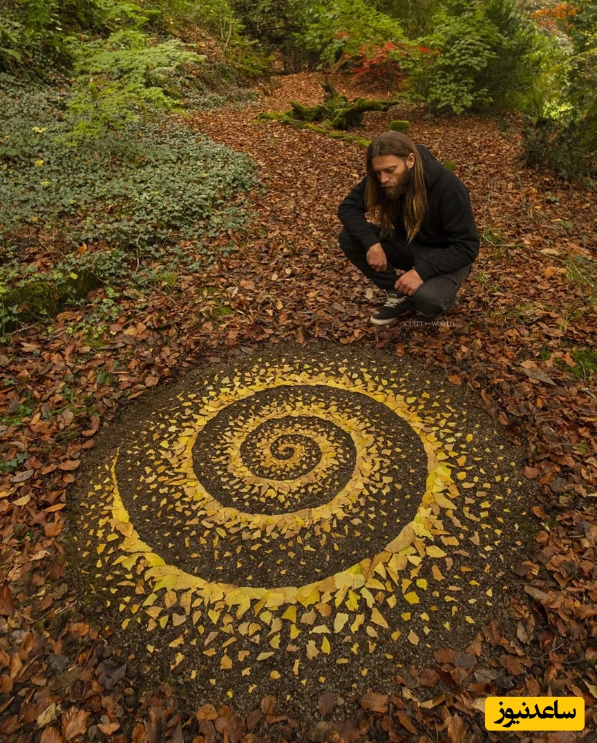 پراکندگی، جنگل‌های کُلبی، ولز