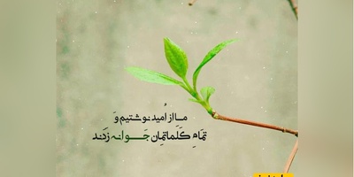 پیام امروز کائنات؛ امروز به رویاهایم بال وپر می دهم و اینده ی ارمانی ام را در مقابل چشمانم می بینم که به من امید و انگیزه می دهد+ ویدیو
