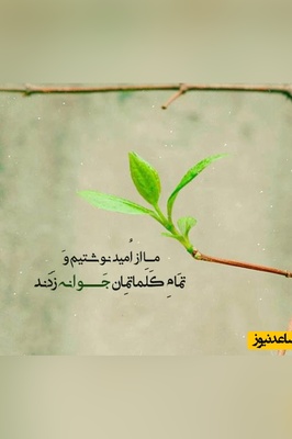 پیام امروز کائنات؛ امروز به رویاهایم بال وپر می دهم و اینده ی ارمانی ام را در مقابل چشمانم می بینم که به من امید و انگیزه می دهد+ ویدیو
