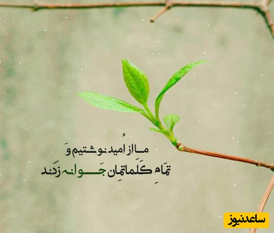 پیام امروز کائنات؛ امروز به رویاهایم بال وپر می دهم و اینده ی ارمانی ام را در مقابل چشمانم می بینم که به من امید و انگیزه می دهد+ ویدیو