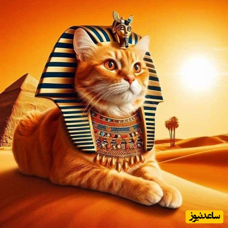 خطای دید/ اگه چشمات، چشمای عقابو 100 هیچ شکست داده، کمتر از 5 ثانیه گربه چهارم رو پیدا کن!