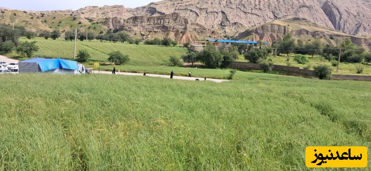 پاکسازی منطقه گردشگری چم سور در لالی با همکاری چند نهاد