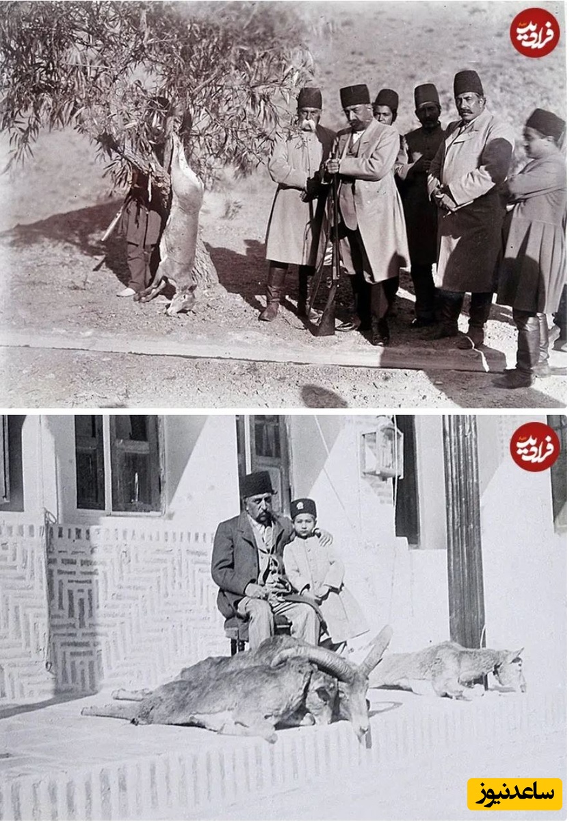 «شکارهای مظفری» و «خواجه‌های یوزپلنگ‌نگه‌دار»