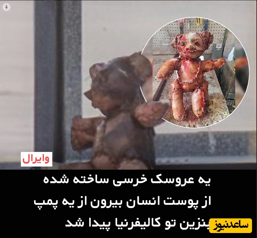 کشف وحشتناک عروسک خرسی که از پوست انسان درست شده در کنار یک پمپ بنزین / چقد ترسناکه