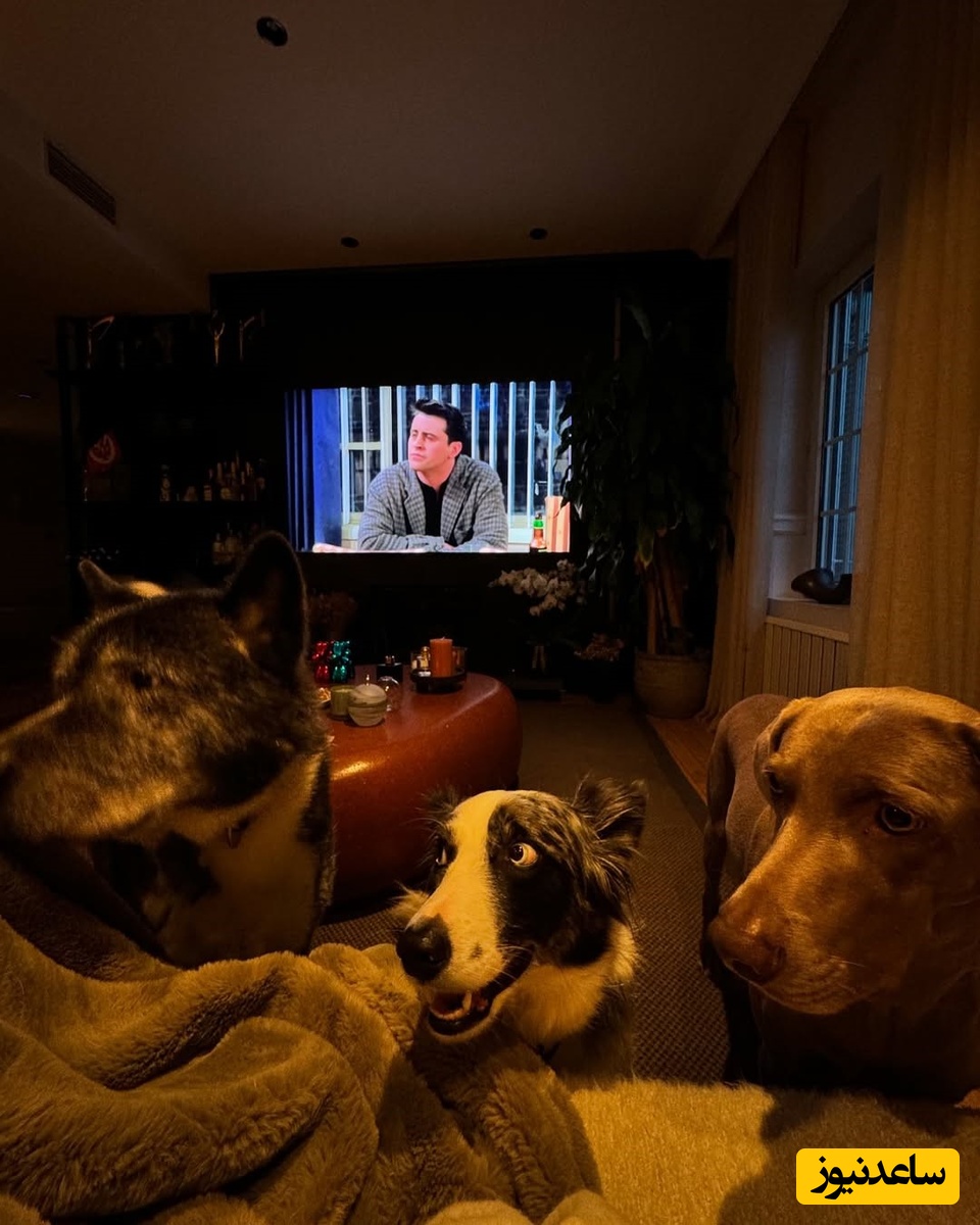 منزل هانده ارچل