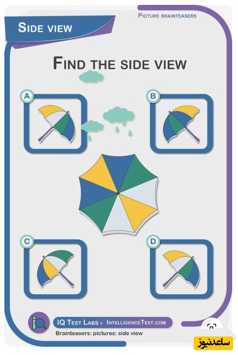چالش روزانه‌ی باهوش شو!/ فقط افرادی با IQ بالای 100 میتوانند زیر 9 ثانیه این بازی فکری رو حل کنند/ کدوم گزینه نمای کناری چتر است؟