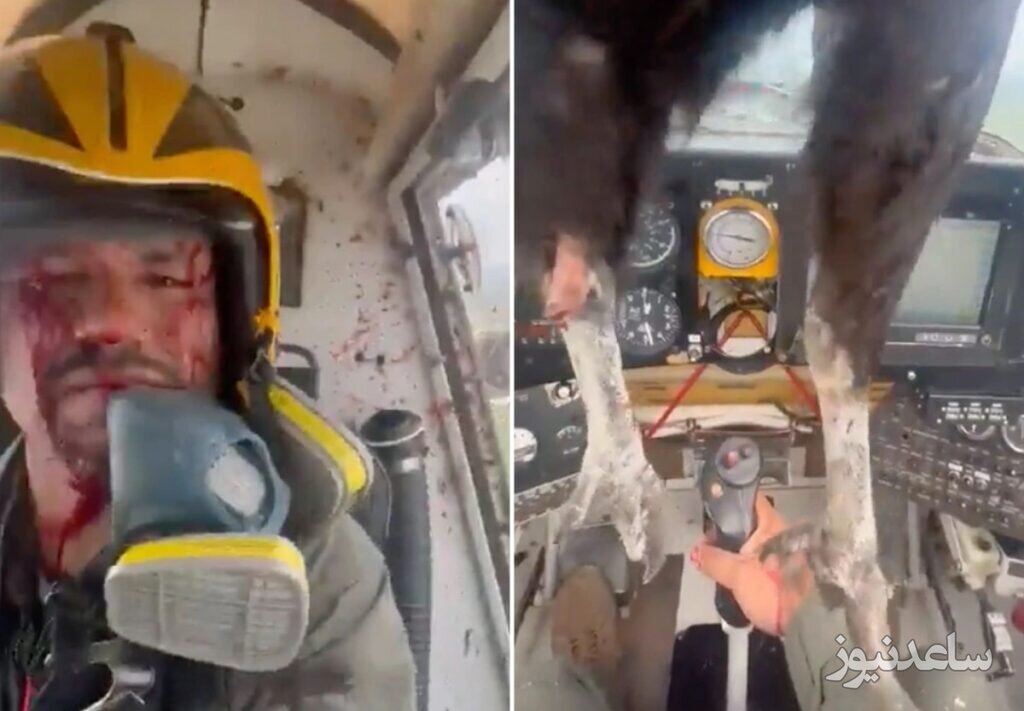 تصادف وحشتناک یک هواپیما با یک کرکس / پاهای کرکس در صورت خلبان فرو رفت! + تصاویر