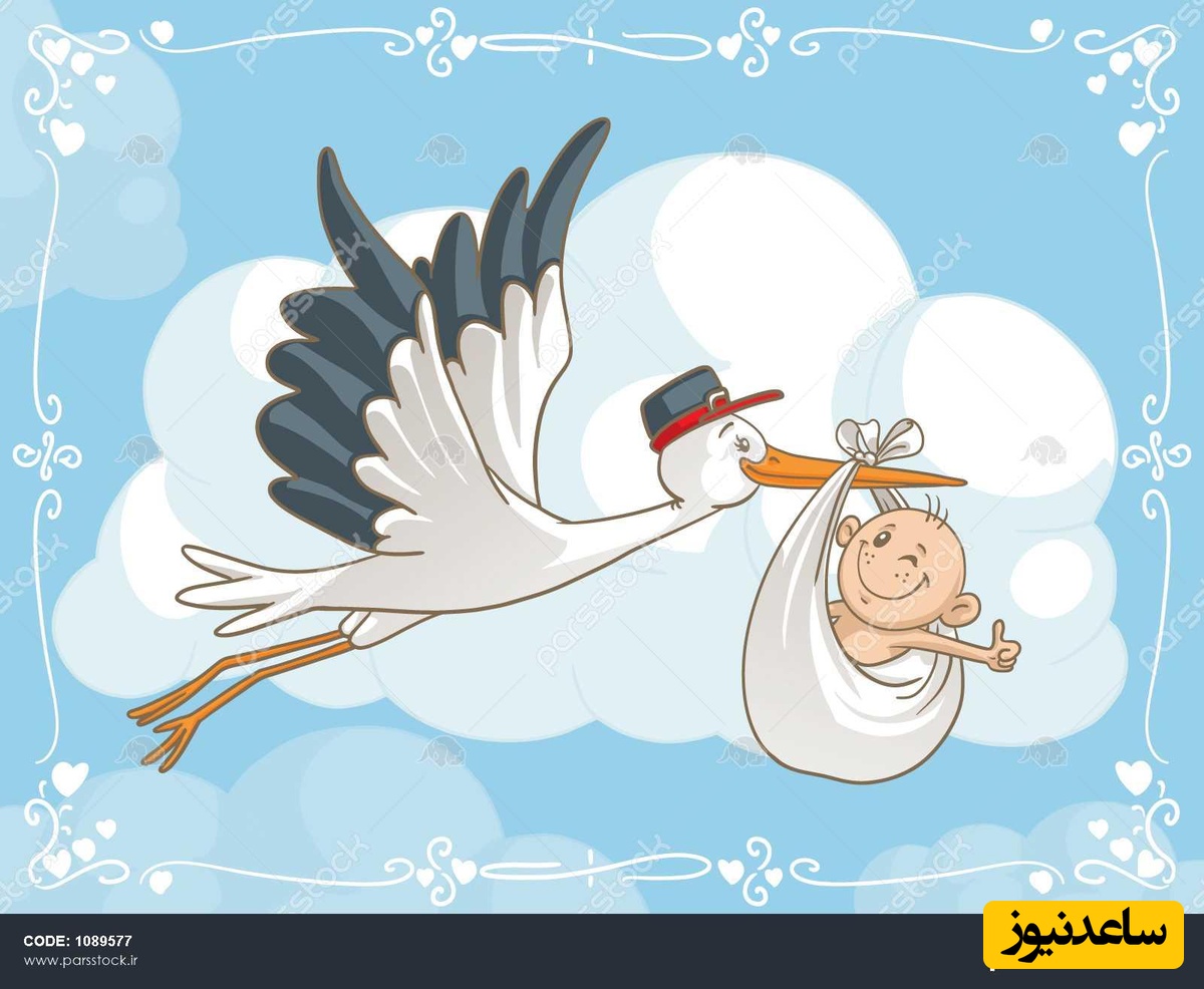 خلاقیت بی‌نظیر اوستا قناد برای کیک تعیین جنسیت خاص و متفاوت که هیچ جا ندیده بودید / لک‌لک چی چی آورده؟ واای چقد خوشگل و دلبره😍 + ویدئو