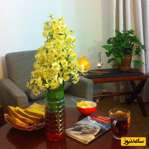 منزل مهراوه شربفی نیا