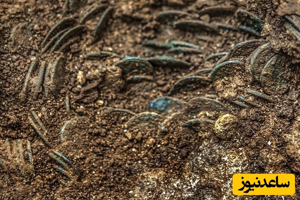 «گنج سکّه‌های روم باستان» که پیرمرد باغدار در زیر درخت گیلاس پیدا کرد