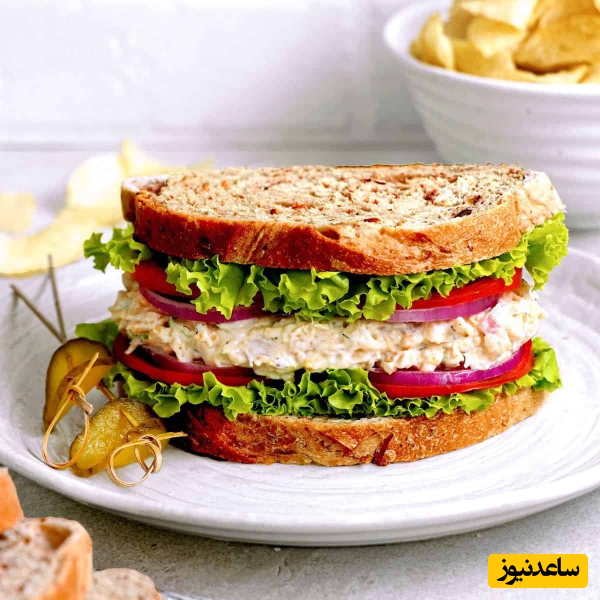 یک شام فوری، ارزان و شاهانه؛ طرز تهیه ساندویچ تن‌ماهی به سبک کافه‌های معروف / انگشتاتم باهاش میخوری