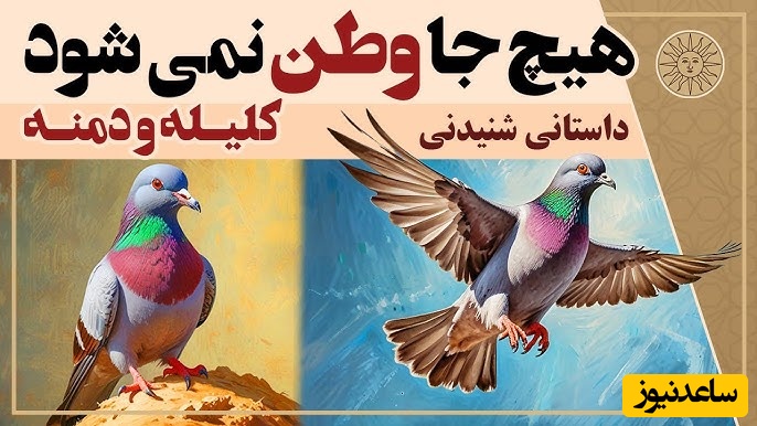 حکایت‌های خواندنی/ جذابترین داستان کلیله و دمنه؛ هیچ جا وطن نمی‌شود