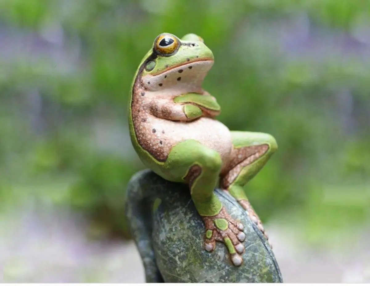 ماموریت ناکام این قورباغه دل آدم رو کباب میکنه+ویدئو / با این فیلم آدم میتونه 1 ساعت گریه کنه!