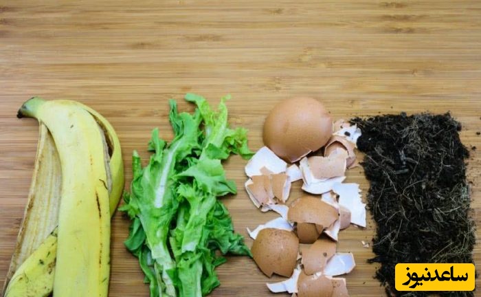 درست کردن کود در خانه با 7 ماده ای که در منزل همه پیدا می شود/ با ما گل های خونه رو  باطراوت نگهدار+ عکس