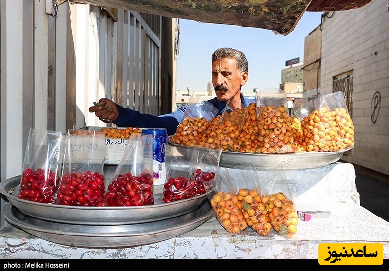 تکاپوی مردم برای یک لقمه نان