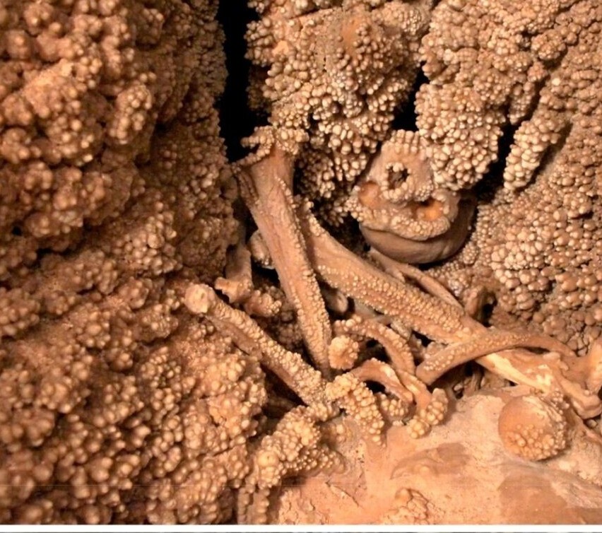 انسان منقرض‌شده‌ای که «150 هزار سال قبل» در یک غار به دام افتاد +عکس