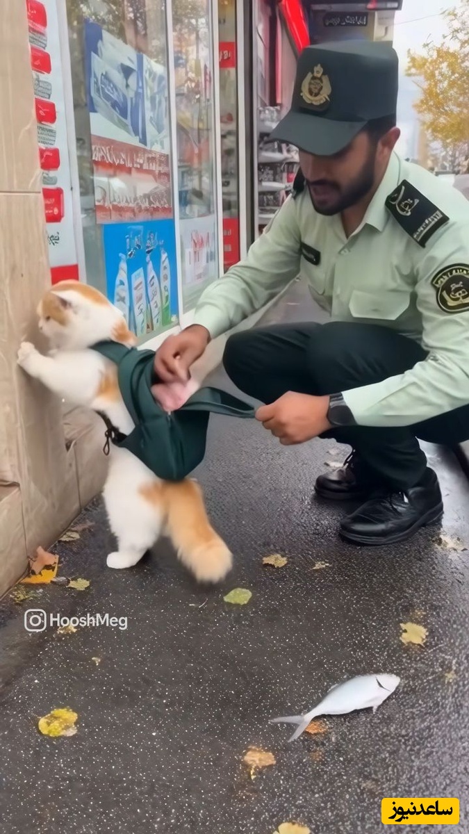 بامزه‌ترین صحنه دستگیری گربه حین دزدی توسط پلیس / گربه سارق دیده بودید؟ 🤣