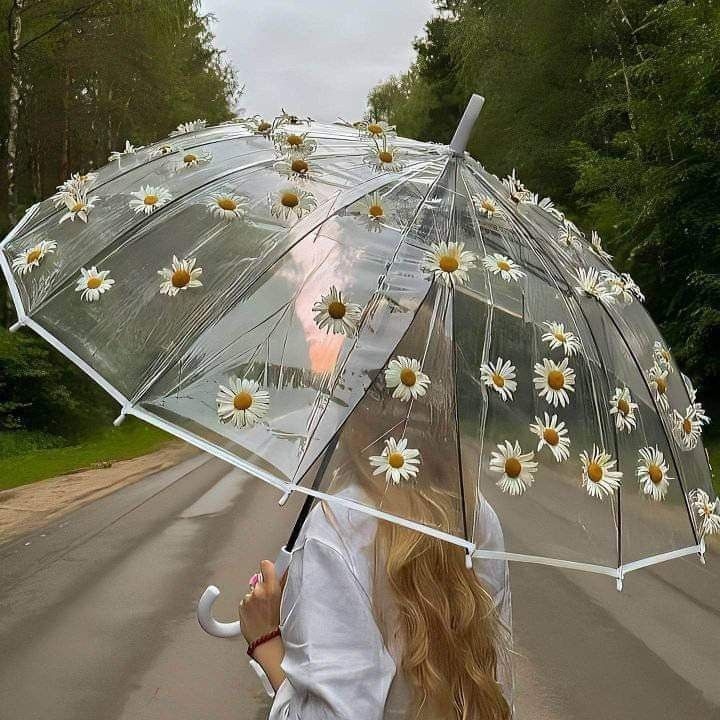 دیدن چتر در خواب چه تعبیری دارد؟ / تعبیر خواب چتر