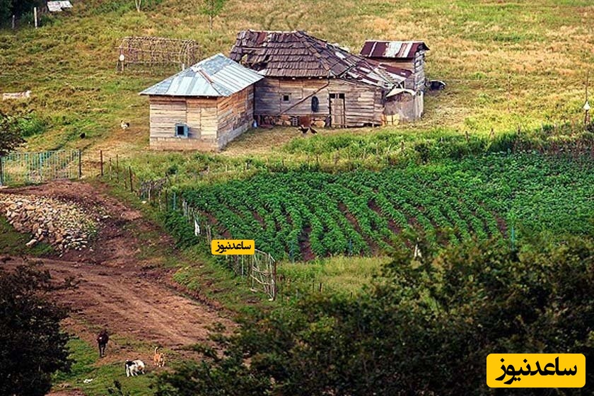 آشنایی با جاذبه های منطقه ییلاقی دوخاله کوه